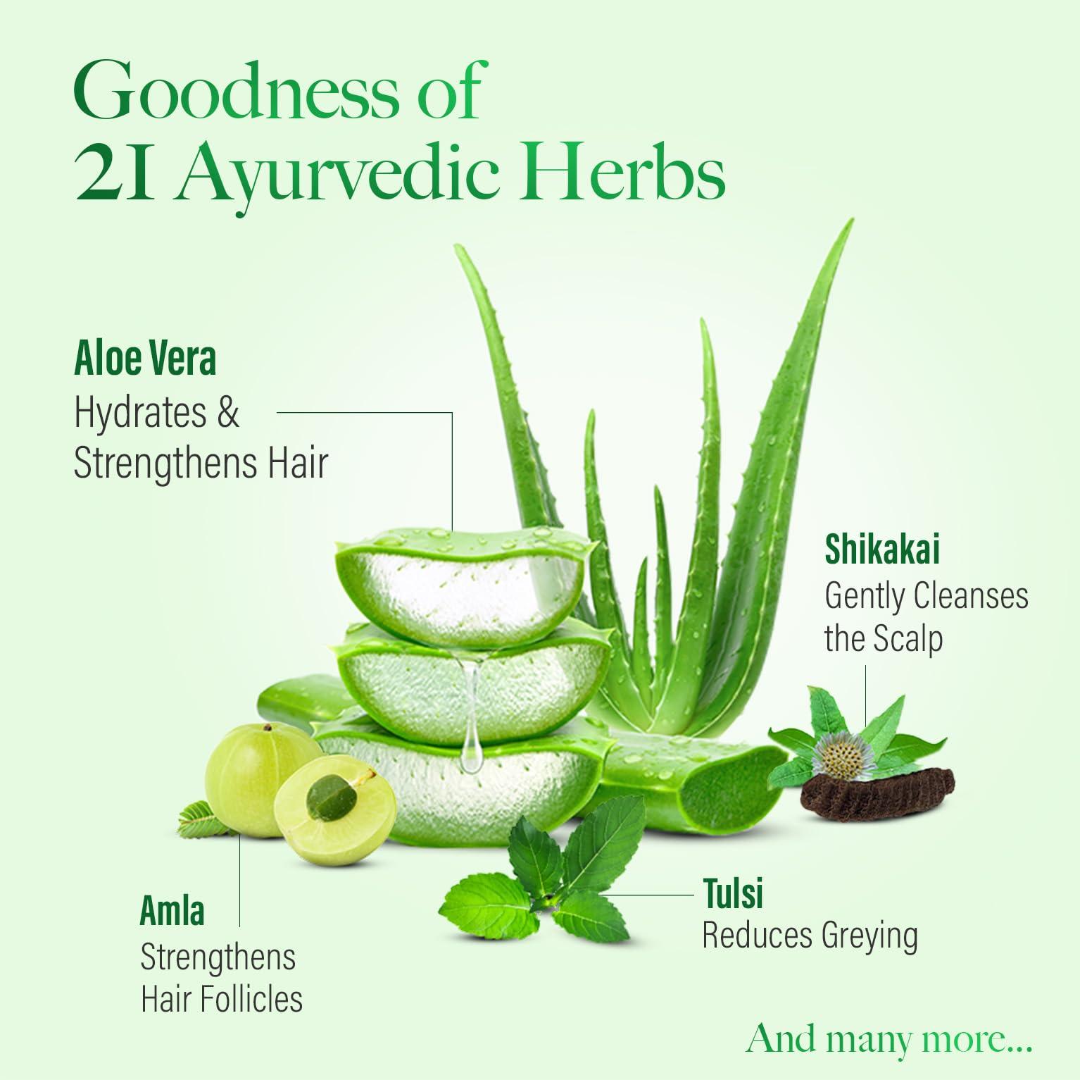 KESH KING KESH KING Anti Hairfall Shampoo | with 21 Ayurvedic Herbs & Aloe Vera | Provides Healthy Nourished Scalp | for Shiny & Smooth Hairs | 33.81. Fl Oz/1000ml