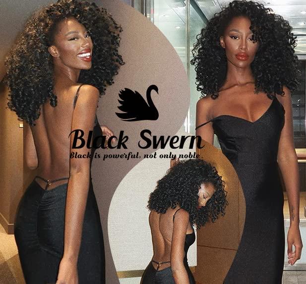 BlackSwern BlackSwern Curly Lace Front Wigs Pre Plucked, Lace Front Wigs Curly Hair Synthetic Lace Front Wig, Glueless Big Curly Wigs for Black Women Natural Black Color