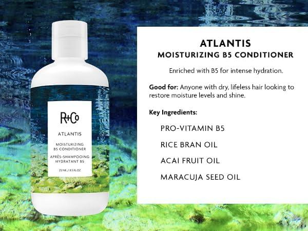 R+Co R+Co Atlantis Moisturizing B5 Conditioner | Nourishing + Tames Frizz + Intense Hydration | Vegan + Cruelty-Free | 8.5oz