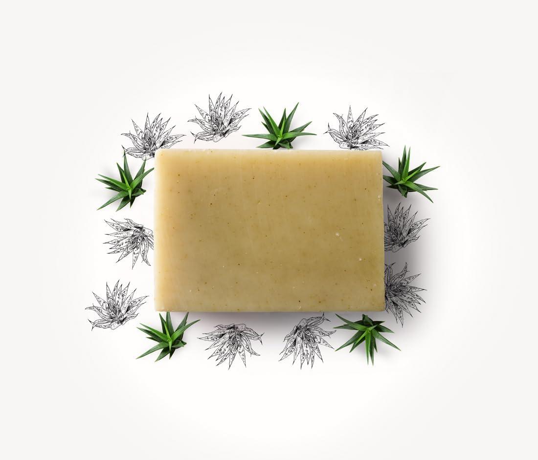 CRIN DE FLEUR CRIN DE FLEUR - Aloe Vera & Nettle Soap Bar - French Artisan Soap Handcrafted in South France, Cold Process, 3.2 oz