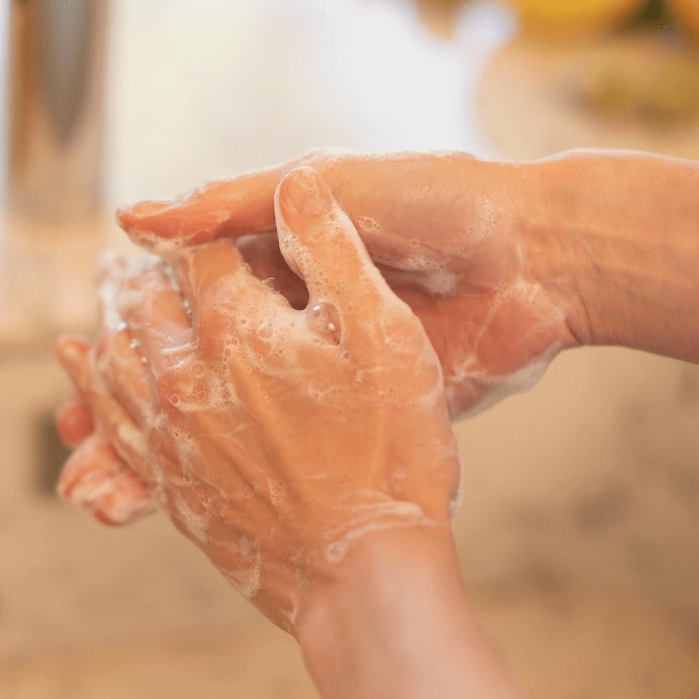 La Compagnie de Provence Compagnie de Provence Savon de Marseille Extra Pure Liquid Soap - Velvet Seaweed - 16.7 Fl Oz Glass Pump Bottle