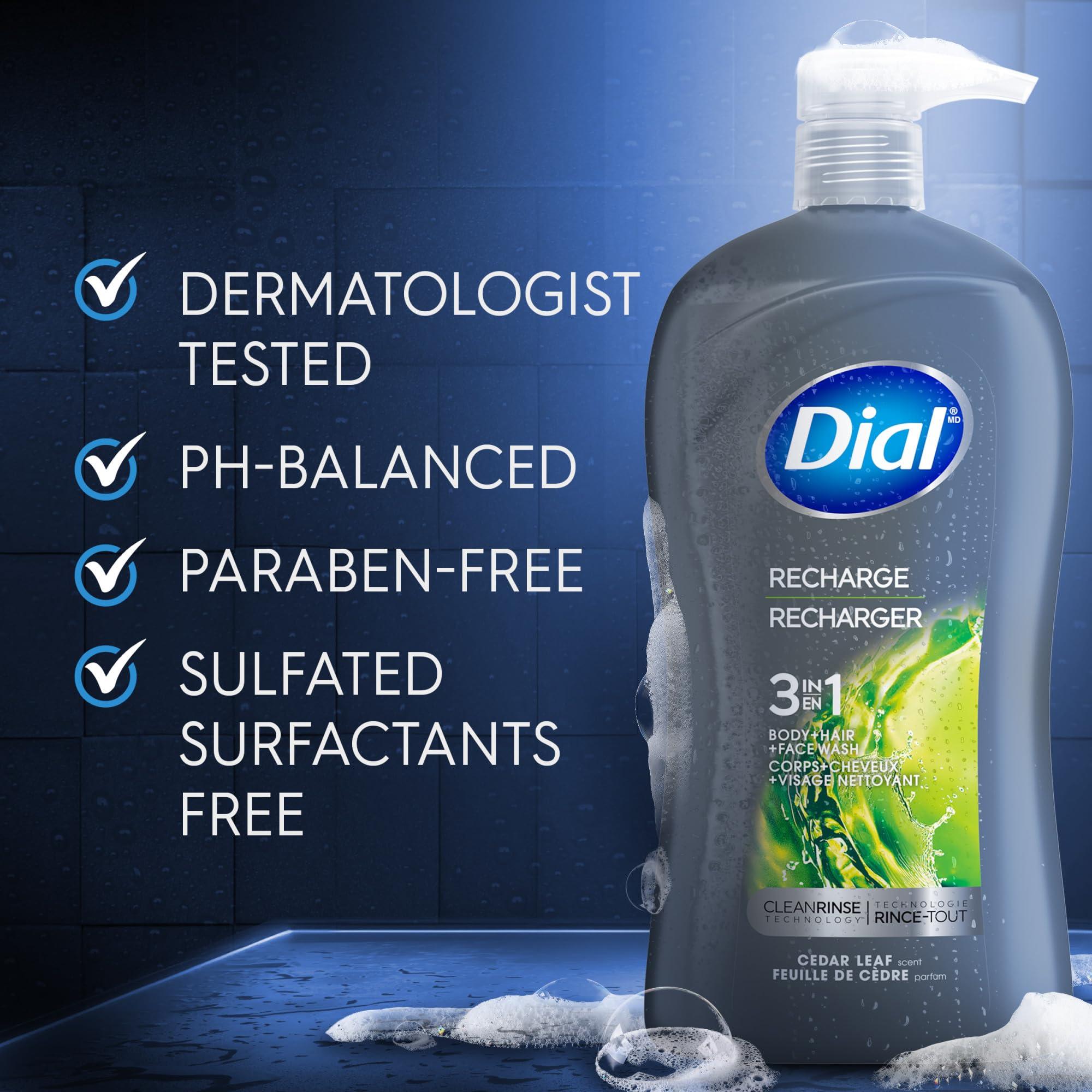 Dial Dial Men 3in1 Body, Hair and Face Wash, Recharge, 32 fl oz