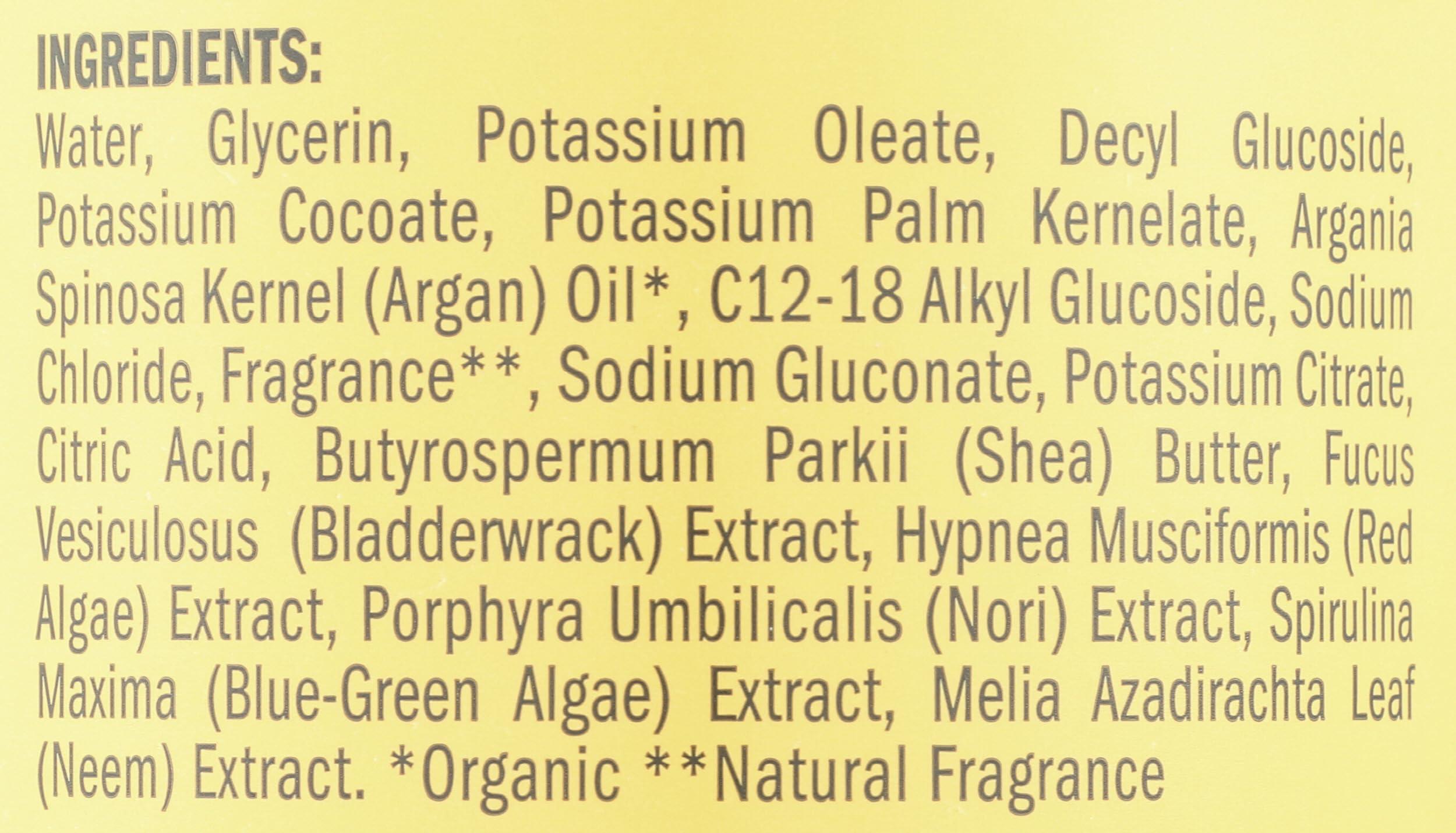 Schmidt's SCHMIDTS DEODORANT Coconut Pineapple Body Wash, 16 FZ