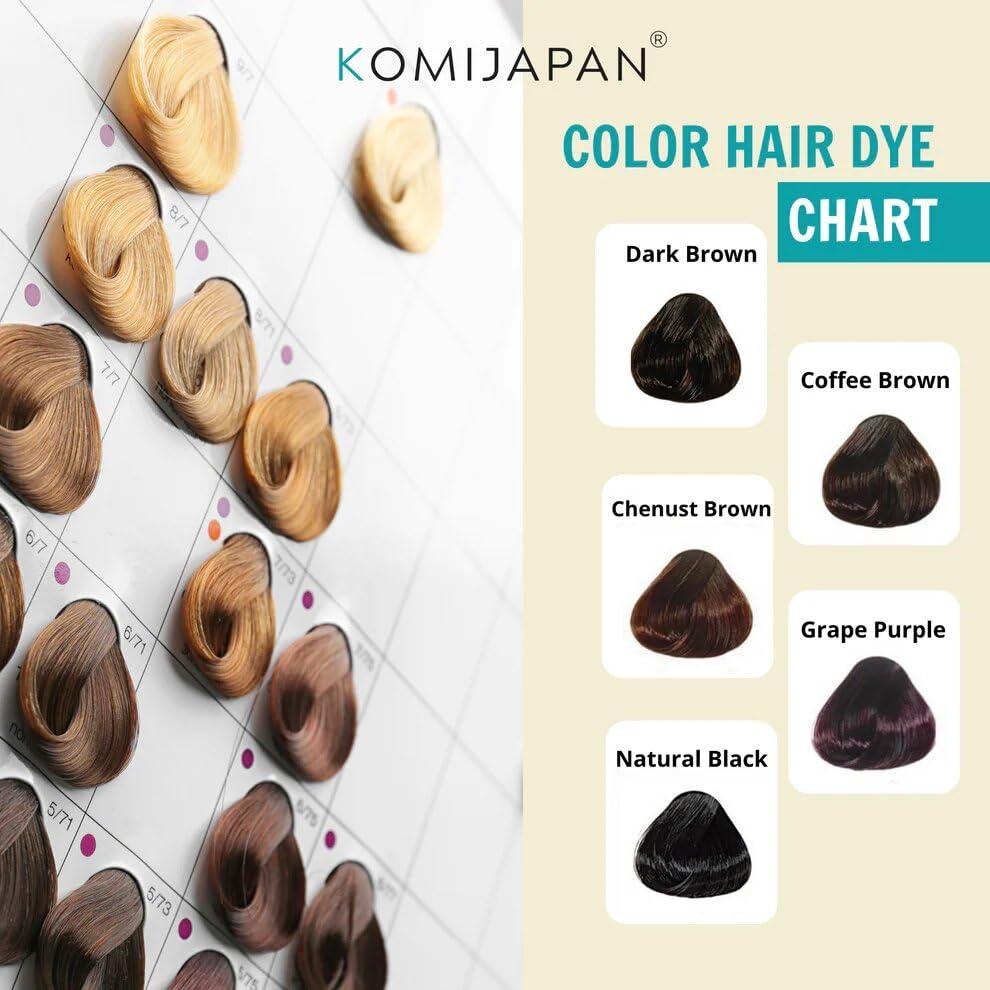 DAIZHADEASY DAIZHADEASY Komi Shampoo Japan 500mL Authentic Japanese Hair Dye Shampoo (6 Colors) (Brown Black)