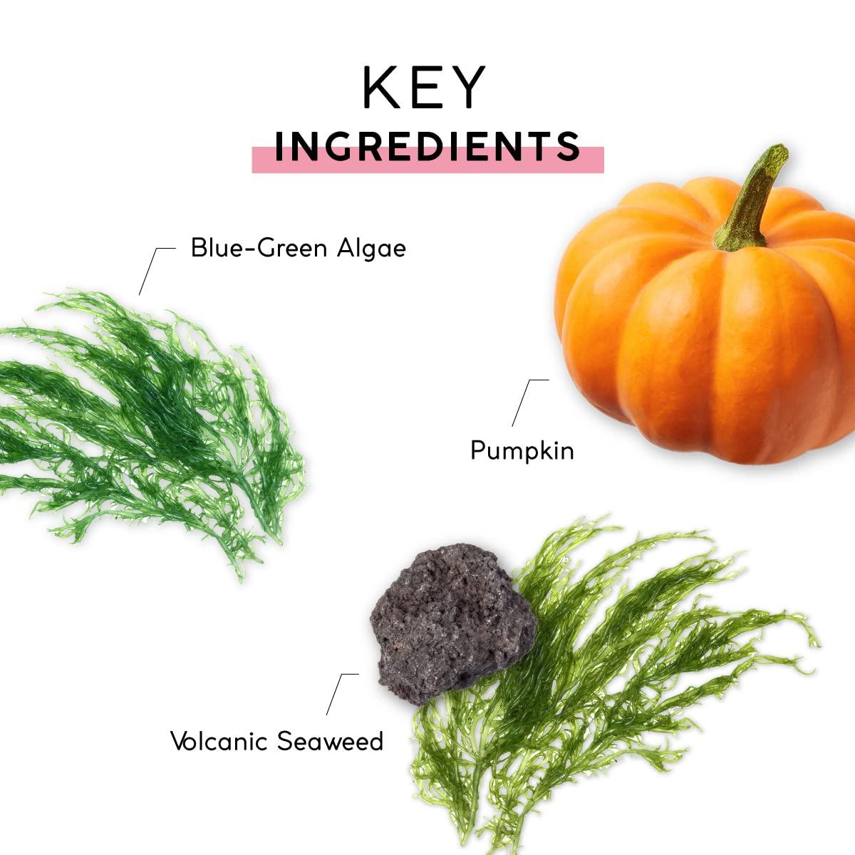 MyChelle Dermaceuticals MyCHELLE Dermaceuticals Pumpkin Cleanser (4.2 Fl Oz) - Daily Facial Cleanser & Skin Cleanser with Pumpkin Seed Oil, Cloudberry Extract & Antioxidants - Moisturizes, Nourishes & Helps Strengthen Skin