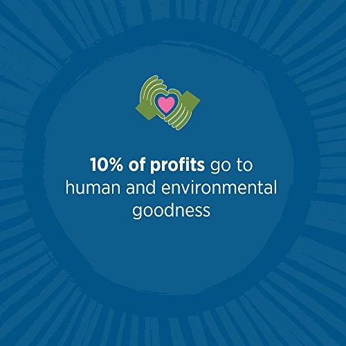 Tom's of Maine Tom's of Maine ADA Approved Wicked Cool! Fluoride Children's Toothpaste, Natural Toothpaste, Dye Free, No Artificial Preservatives, Mild Mint, 4.2 oz. 3-Pack (Packaging May Vary)