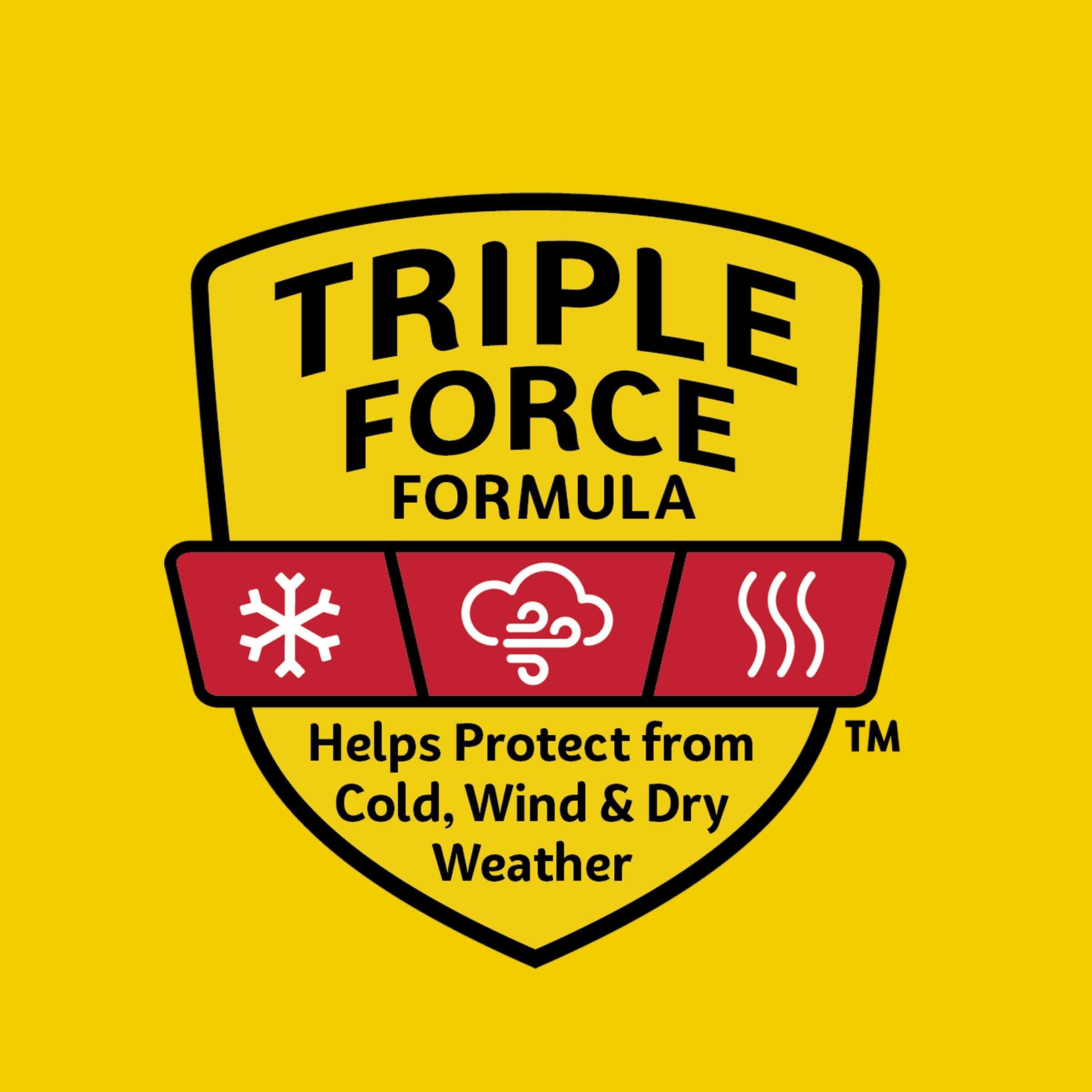 Carmex Carmex Medicated Lip Balm Tubes, Lip Moisturizer for Dry, Chapped Lips, 0.35 OZ - (6 Packs of 3)