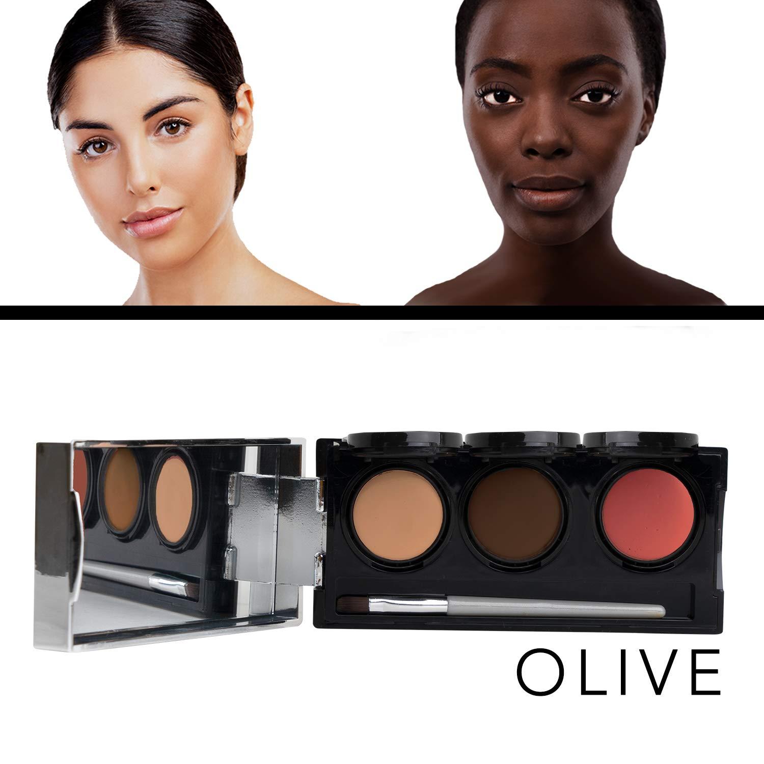 Dermaflage Dermaflage Tattoo Cover Up Makeup (Olive) - Bruise Full Coverage Concealer - Full Coverage Waterproof Concealer for Bruise, Scar & Acne - Smudge Proof Body Makeup Palette with 3 Pro SFX Shades + Brush