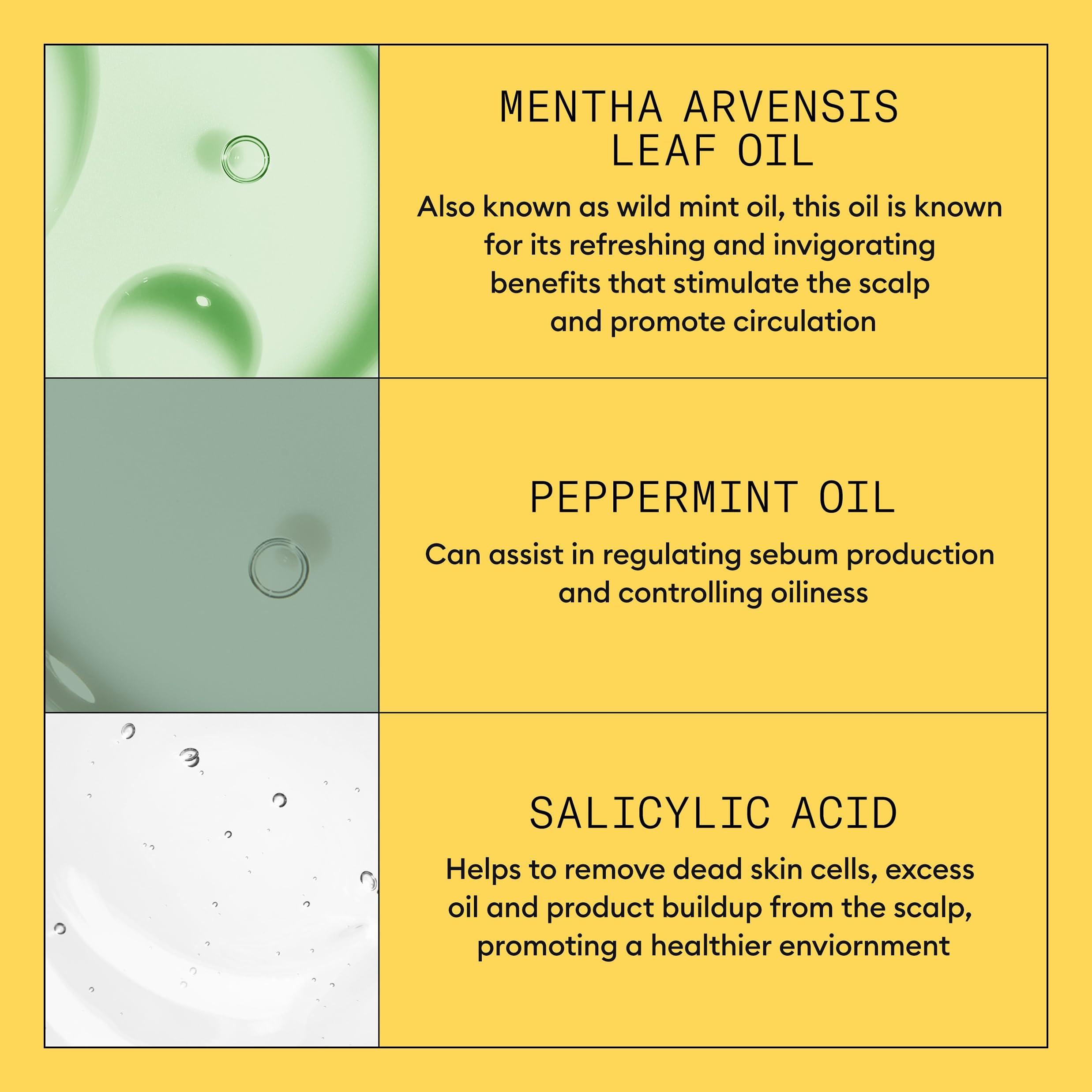 Nioxin Nioxin Scalp + Hair Thickening System 1 Shampoo | For Natural or Untreated Hair with Light Thinning | With Niacinamide and Biotin | 10.1 Fl oz.