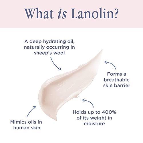 Lanolips Lanolips 101 Ointment - Lanolin Lip Balm for Smooth, Hydrated & Healthy Lips - Multipurpose Lip Ointment with Lanolin Oil for Dry Lips, Cuticles & More - Watermelon (0.52 oz)