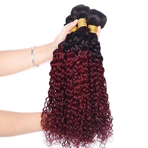 FEEL ME FEEL ME Ombre Curly Weave Human Hair Bundles Premium Brazilian Curly Virgin Hair 3 Bundles Ombre 1b/99j Burgundy Brazilian Deep Curly Hair Bundles(18 20 22)