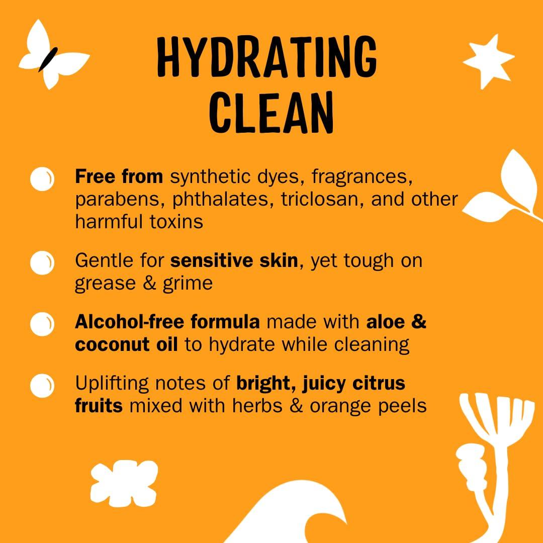 Molly\'s Suds Molly\'s Suds Foaming Hand Soap - Made with Aloe and Coconut Oil | Moisturizing Hand Wash | Clean Ingredients, Infused with Essential Oils | Citrus Grove - 8.25 Oz (Pack of 3)