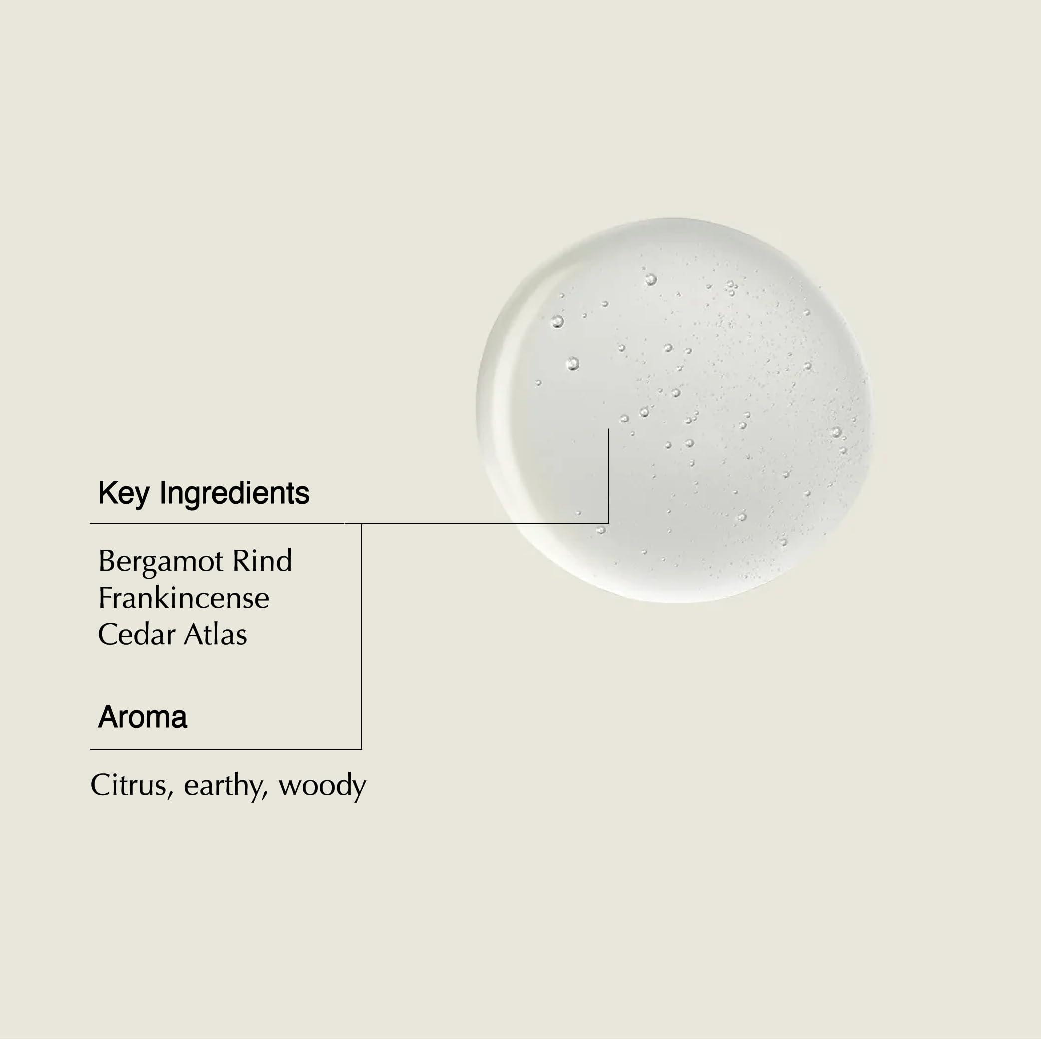 Aesop Aesop Shampoo - Enlivening Shampoo For Soft, Shiny, Fragrant Hair - With Frankincense and Panthenol - 16.9 oz