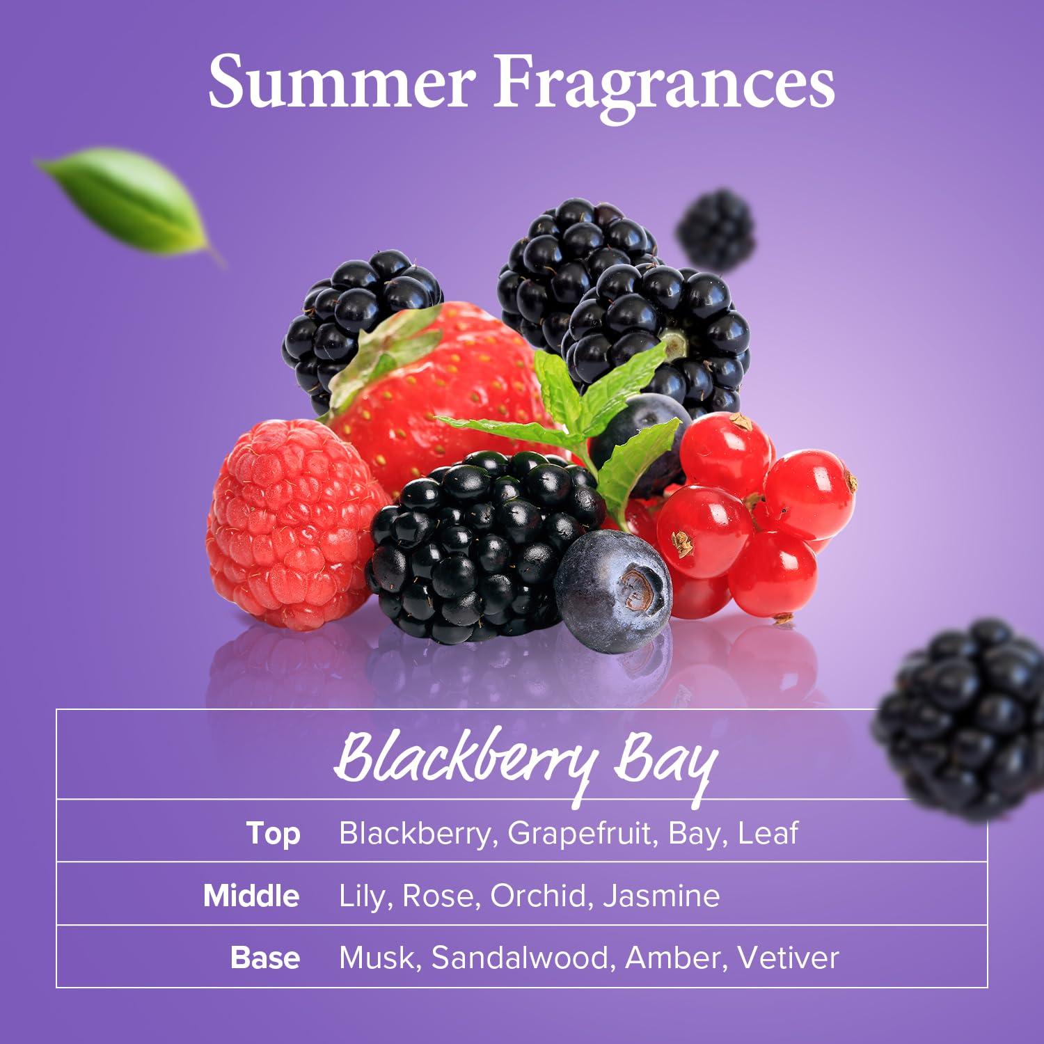 Kundal Kundal ENGLISH ROSE Sulfate Free Moisturizing Shampoo for Dry Damaged Hair with Argan Oil, 16.9 oz(500ml), Sulfate Free Paraben Free