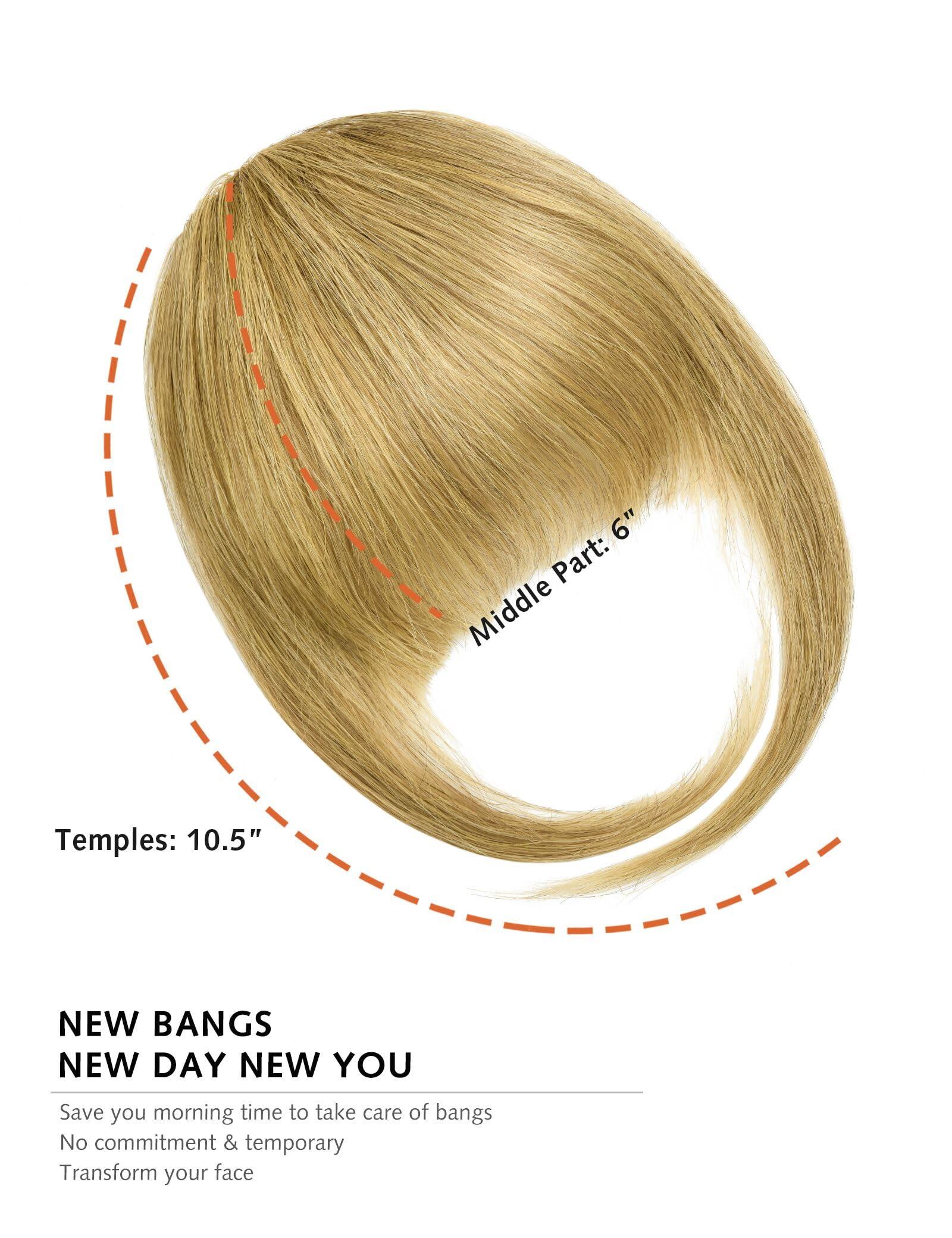 DILUSILK DILUSILK Clip in Bangs Remy Human Hair Front Fringe French Flat Bangs Hair Extensions Bang Hair Clips for Women Daily Wear Natural Hair Pieces Dark Blonde