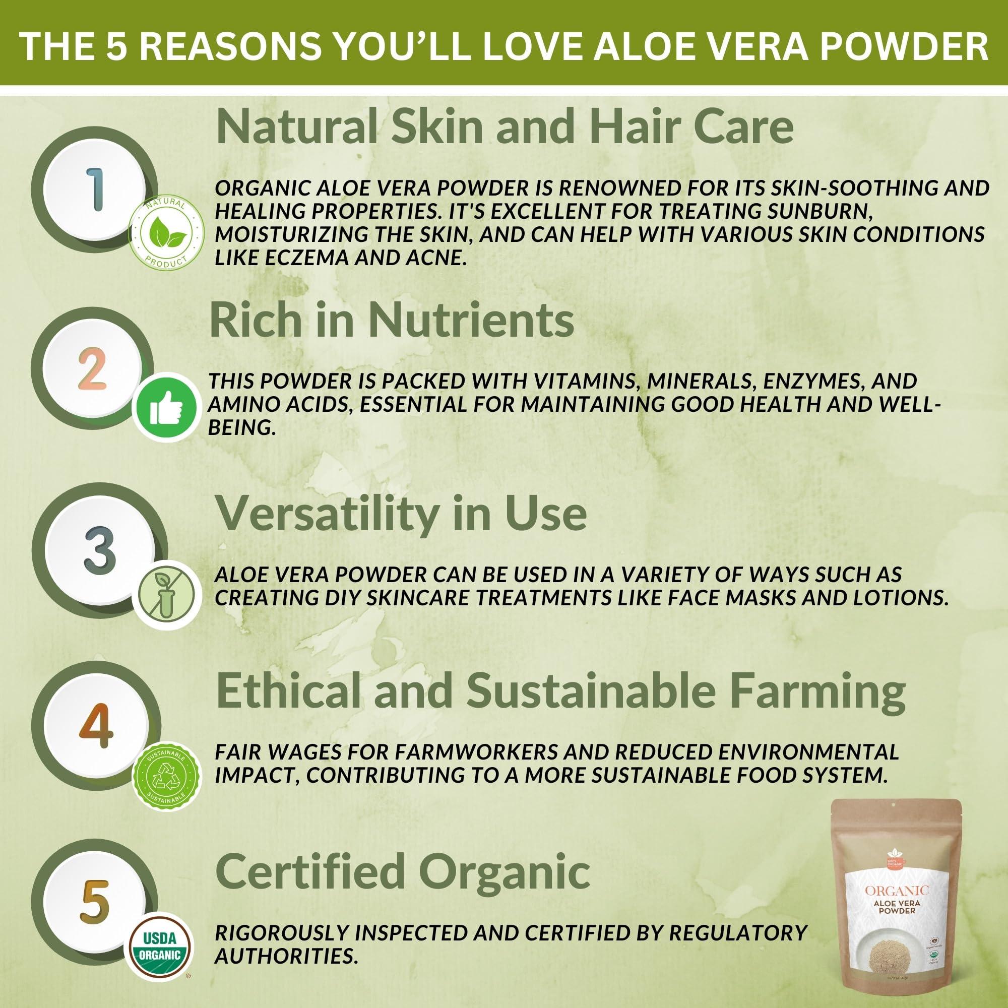 SPICY ORGANIC Organic Aloe Vera Powder for Skin & Hair 16 oz. - Aloe Barbadensis - Nourishing Face Mask for Natural Beauty, USDA Certified Organic & Non-GMO