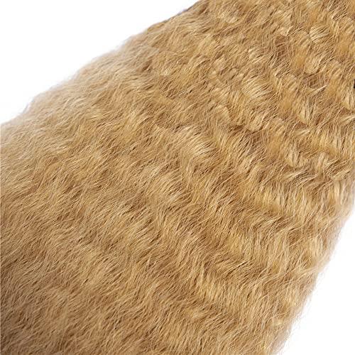 DiexrLamx 12 14 16 Inch 27 Color Kinky Straight Bundles Honey Blonde Yaki Hair Bundles Cheap Hair Brazilian Human Hair Unprocessed Brazilian Hair Bundles 8A Grade Remy Hair Extensions