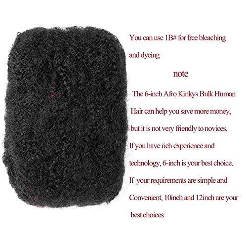 Originea Beauty Originea 6 Inch 150g Afro Kinkys Bulk Human Hair for Dreadlocks Making, Repairing and Extending,100% Afro Kinky Curly Human Hair Bulk Can be Dyed and Bleached Including Free Crochet Hooks and Comb