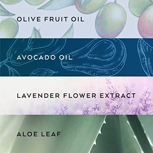 LOLLIA Lollia Dream Bubble Bath, 24 fl. oz. White Tea & Honeysuckle Scent Soothing & Moisture-Rich Bubble Bath, Hydrating Ingredients, Scented Bubble Bath for Women