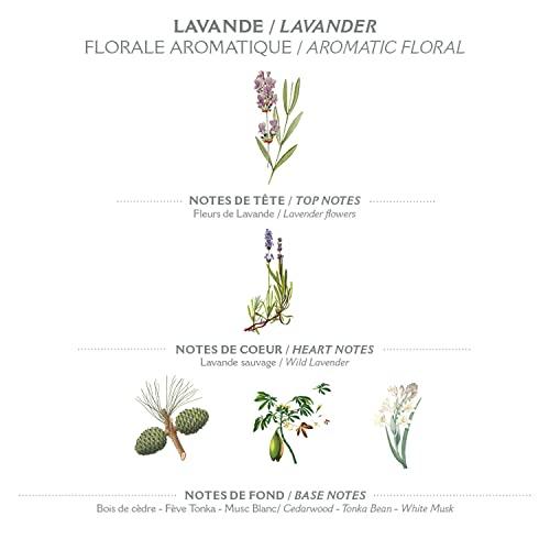 Panier des Sens Panier des Sens - Lavender Body Lotion for Dry Skin - Hydrating Body Cream for Women - Nourishing Fluid Body Moisturizer with Shea Butter & Olive Oil - 97% Natural Ingredients Body Care - 8.45 Floz
