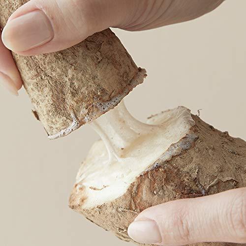 BLITHE BLITHE Pressed Serum 68.79% Wild Yam Moisturizing Serum with Cream Texture for Women, Vegan Mucin Safe for Sensitive Skin, Korean Skincare 1.68 Fl Oz