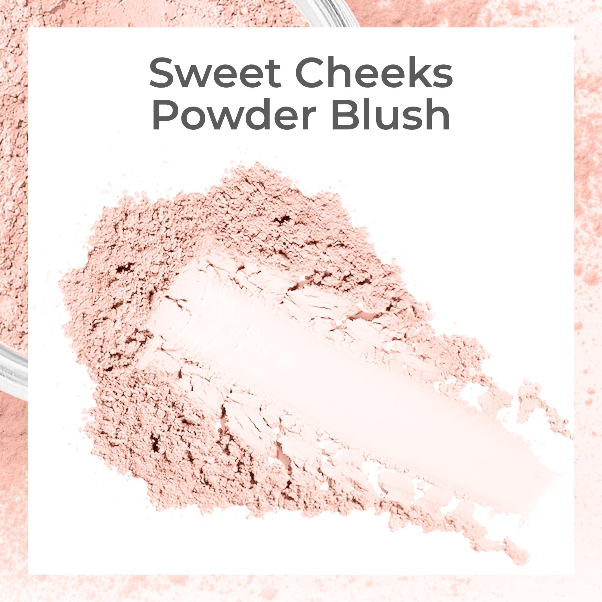 Sweet Face Minerals 15 pc STARTER KIT w/BRUSHES & CASE (FAIR 2) Mineral Makeup Foundation Blush Bronzer Illuminating Veil Set Bare Skin Matte Powder