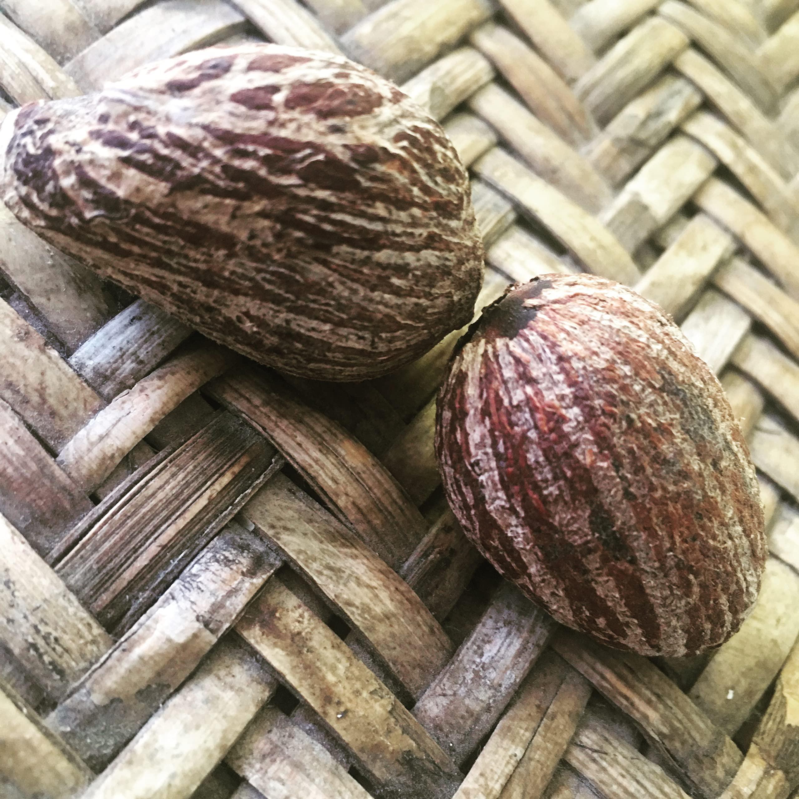 Rainforestcosme Rainforestcosme Nilotica Shea Butter - 1kg (Pack of 1)