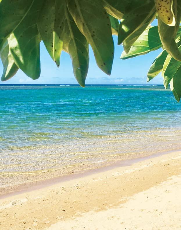 Island Soap & Candle Works Island Soap and Candle Works Botanical Coconut Scented Body Lotion for Men and Women - Paraben Free Body Moisturizer - Hydrating Hawaiian Skincare - Creamy Coconut - 8.5 Fl Oz. Bottle