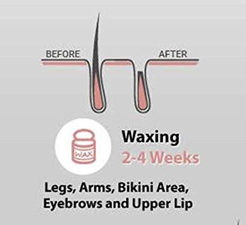 Tori + Mika Hot Gentle Azulene Wax 14oz for Women and Men - Hair Removal on Face, Body, Leg, Lips, Nose, Mustache, Eyebrow, Ear Perfect for Brazilian and Bikini Wax Paper Waxing Strips Epilator Epilating