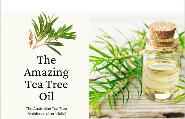 HENNA COSMETICS CYPRI Henna Cosmetics Tea Tree Oil Shampoo, Sulfate Paraben Free, 16.9 fl oz