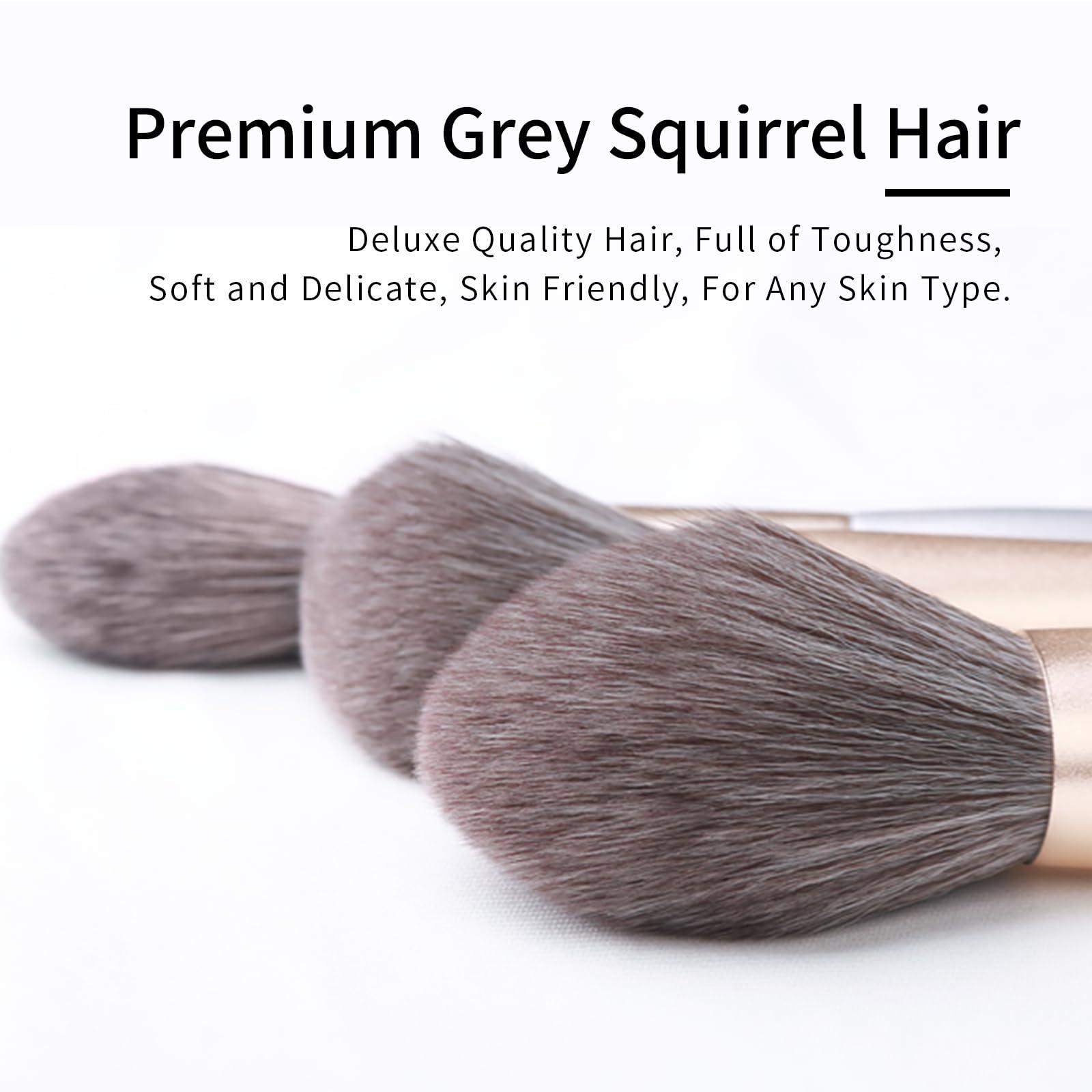 ENZO KEN ENZO KEN Natural Hair Makeup Brushes Set Professional, Grey Squirrel Hair Makeup Brush Set with Case, Unique Cosmetic Brushes Makeup Set, Natural Makeup Brushes, Natural Bristle Makeup Brushes -Silver
