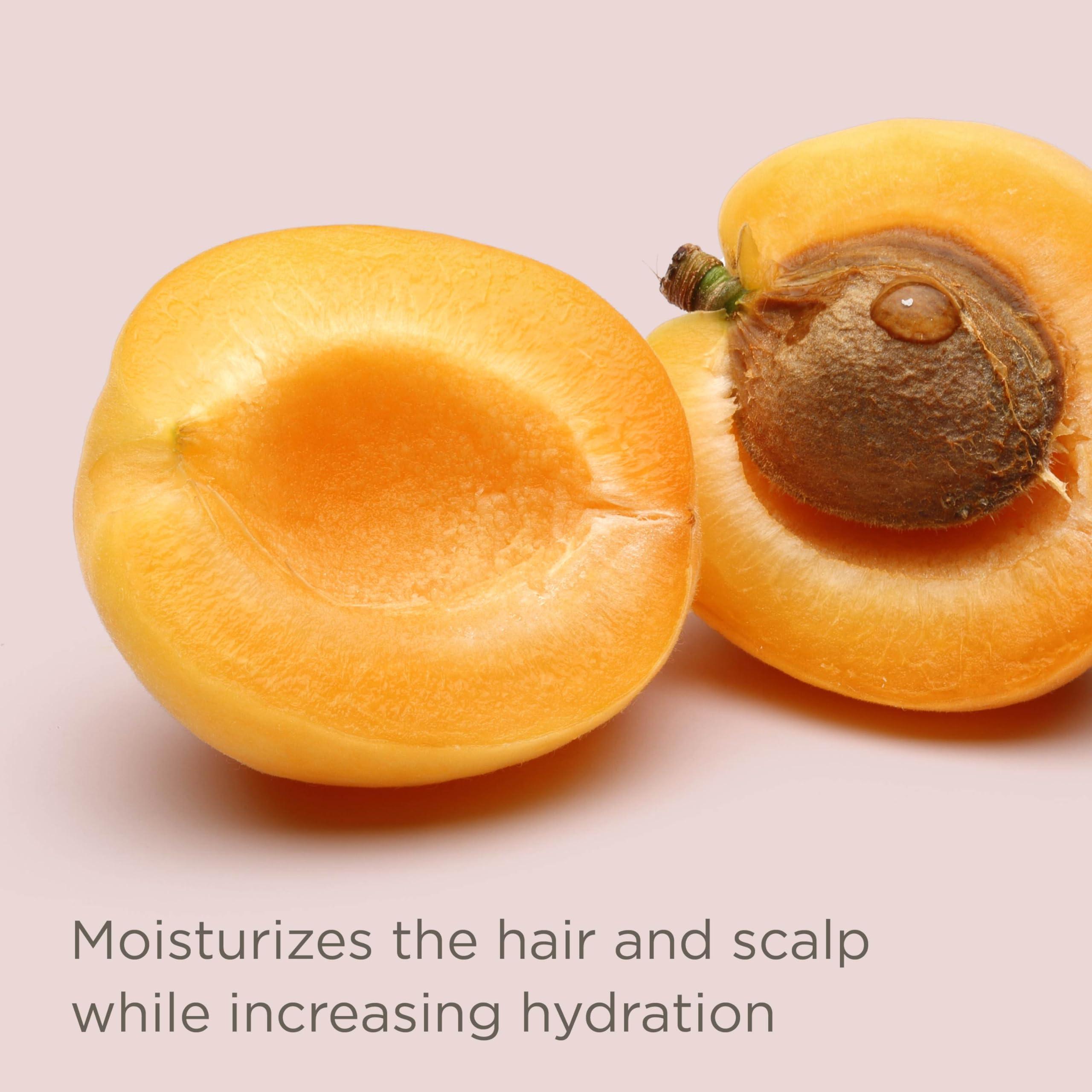 Hairitage Hairitage Restart Button Scalp Exfoliator for Dry and Sensitive Scalp - Promote Scalp Health - Clarifying Scalp Scrub for Healthier and Stronger Hair