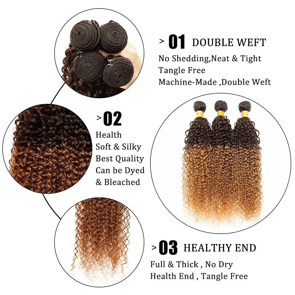 FASHION VILA Curly Bundles Human Hair 2 Tone Ombre Brazilian Virgin Hair 3 Bundles Human Hair Weave Bundles 100% Unprocessed Kinky Curly Human Hair Extensions T4/30 Medium Brown/Medium Auburn(22 24 26)