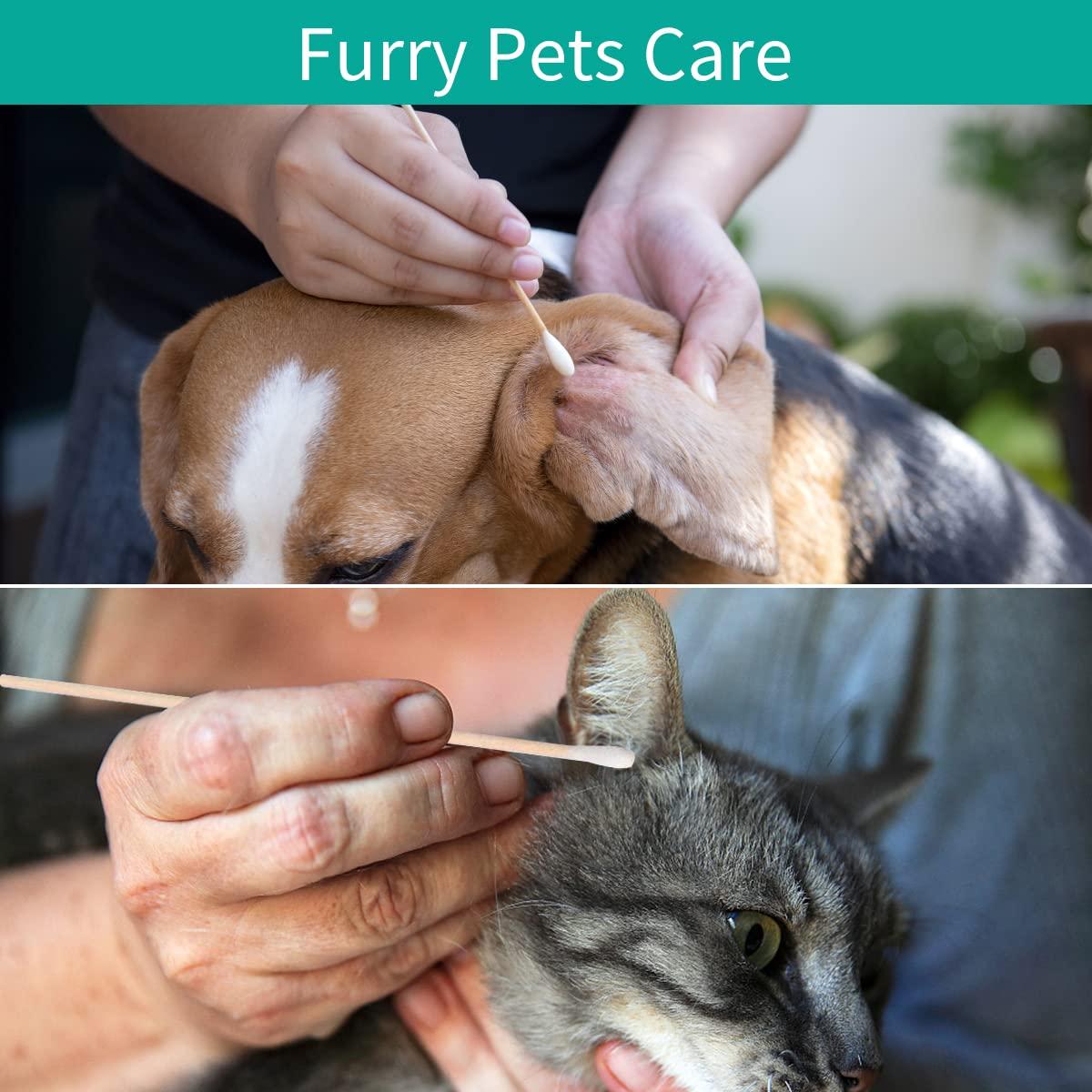 eyxformula 600 Pcs Long Cotton Swabs + 300 Pcs Bamboo Cotton Swabs