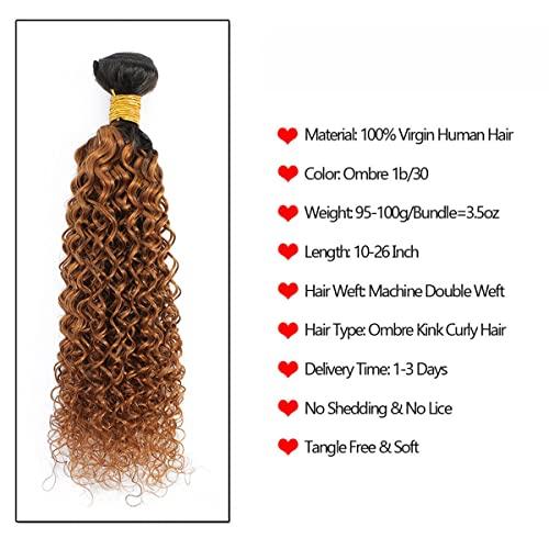 Annora Kinky Curly Bundles with Closure Two-tone Brown T1B/30 3 Bundles with 4x4 Lace ClosureHuman Hair Human Hair Grade 8A Soft 100% Brazilian Hair Extension (18"20"22"+16"Closure) Inch