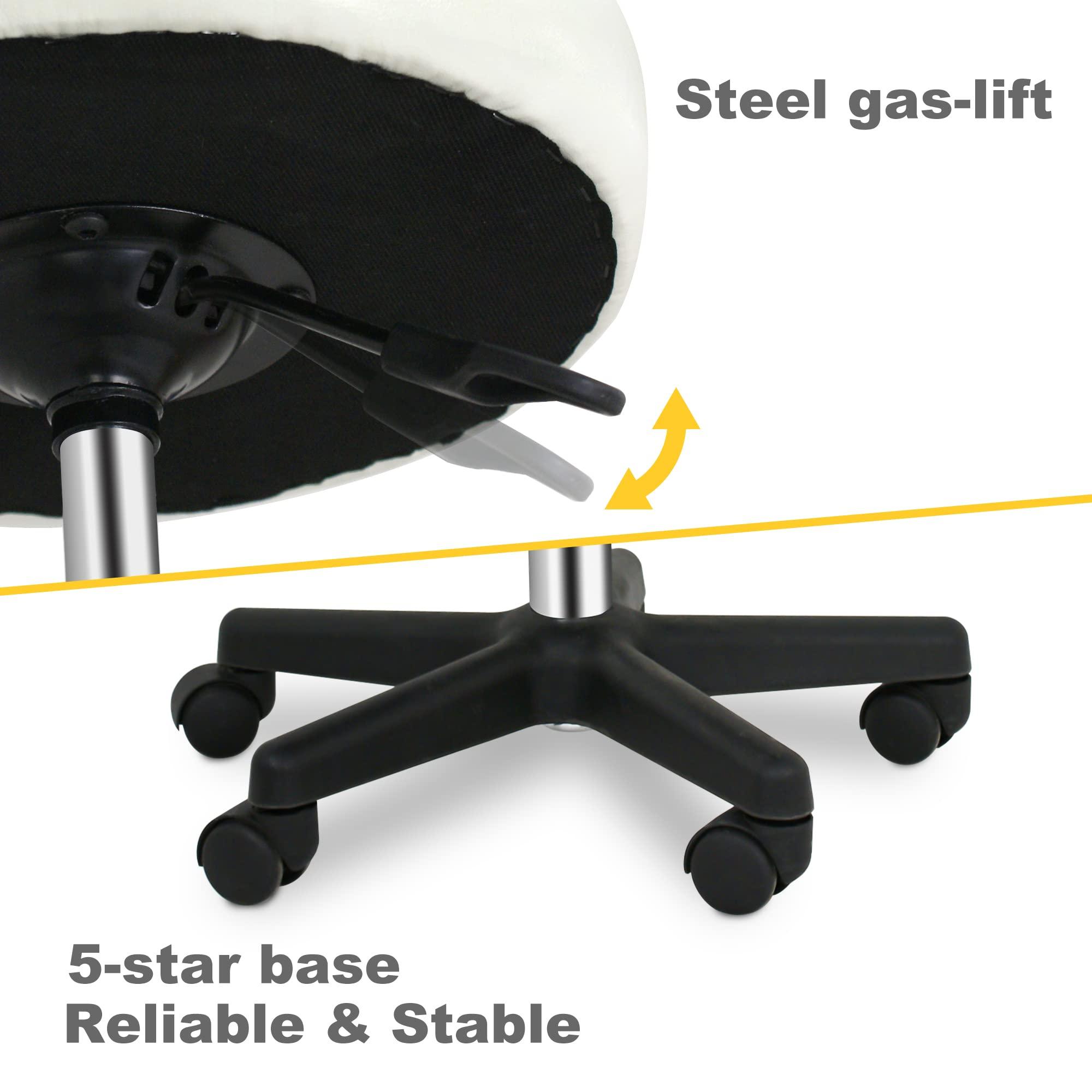 ZENY ZENY Adjustable Rolling Stool with Wheels Swivel Stool Chair Hydraulic Stool Office Stool for Beauty Salon Massage Spa Medical Tattoo Drafting, White