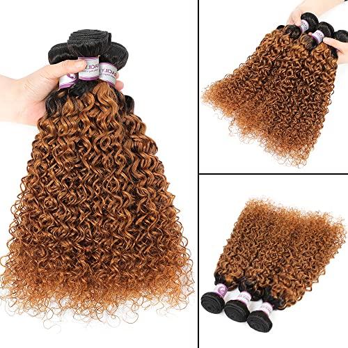 ALISFEEL Ombre Curly 3 Bundles Brazilian Curly Hair Wet and Wavy Human Hair Dark Brown Weave 3 Bundles Kinky Curly 1B/30 Black to Brown (16"18"20")