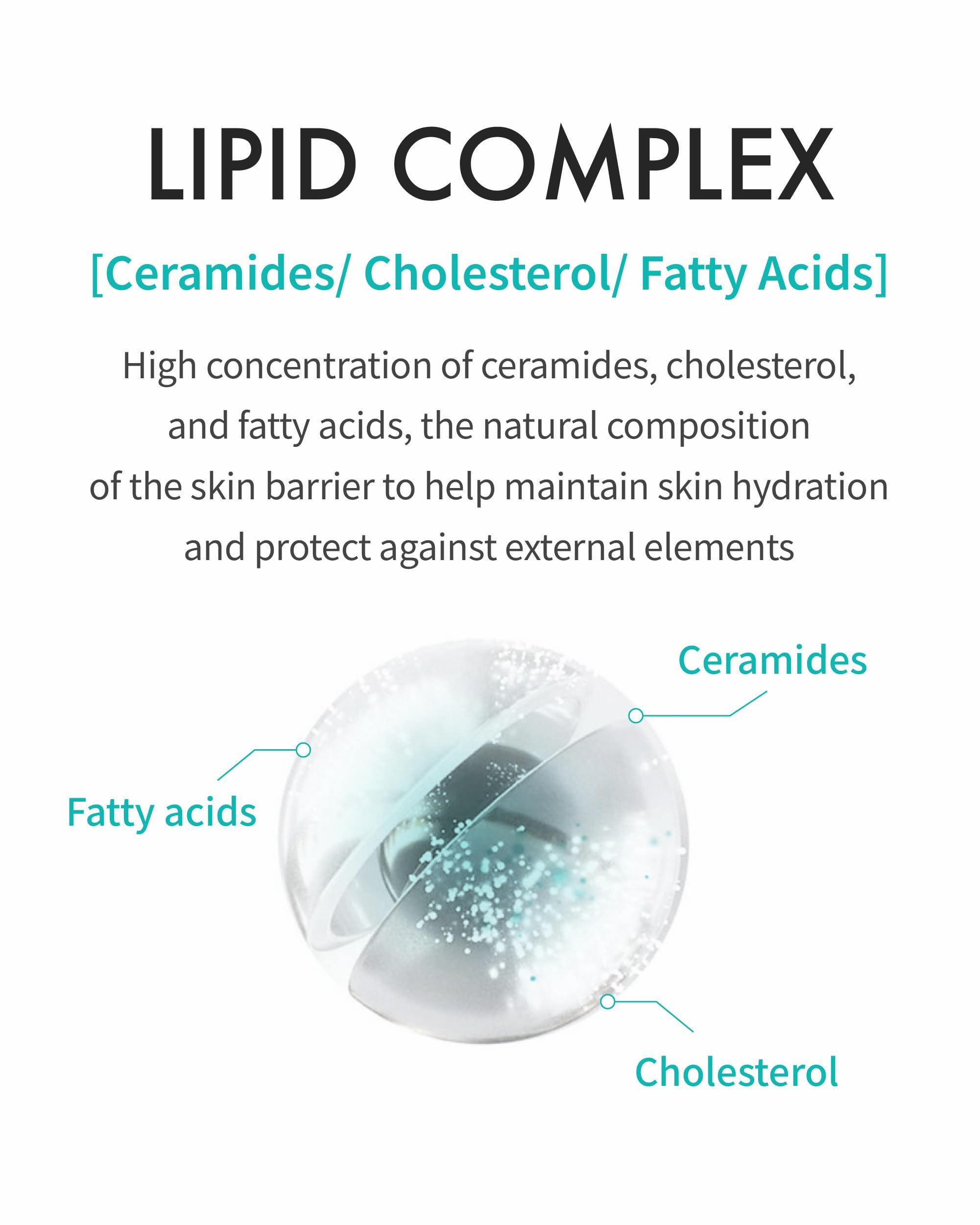 REJURAN REJURAN Moisture Cream, c-PDRN - Daily Moisturizer for Long-Lasting Hydration and Skin Barrier Support with PDRx. (2.11 oz)