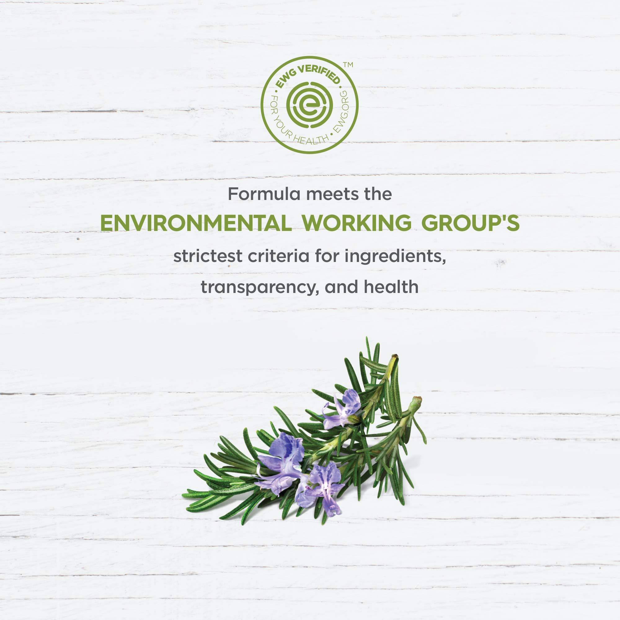 Avalon Organics Avalon Organics Shampoo Rosemary, 11 oz