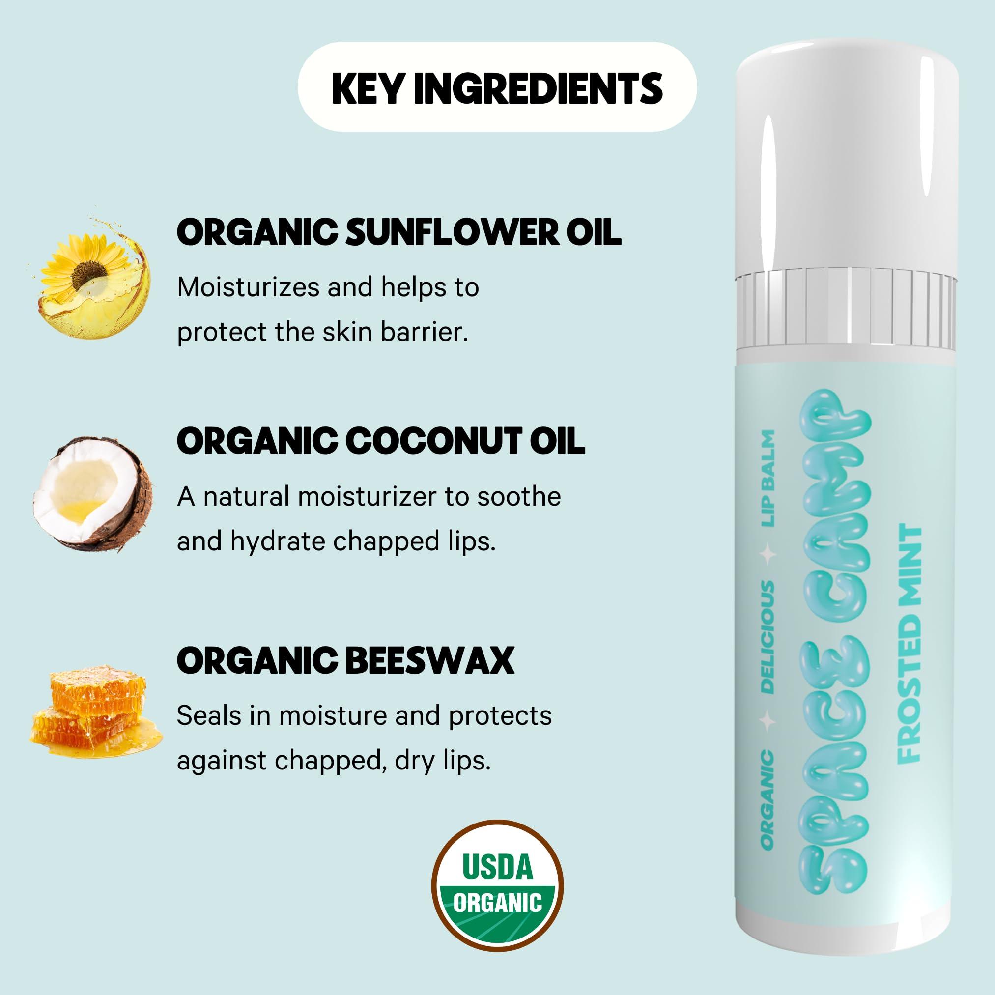 Space Camp Space Camp Wellness Jumbo Lip Balm - Frosted Mint Organic Flavored Balm (2 Pack)