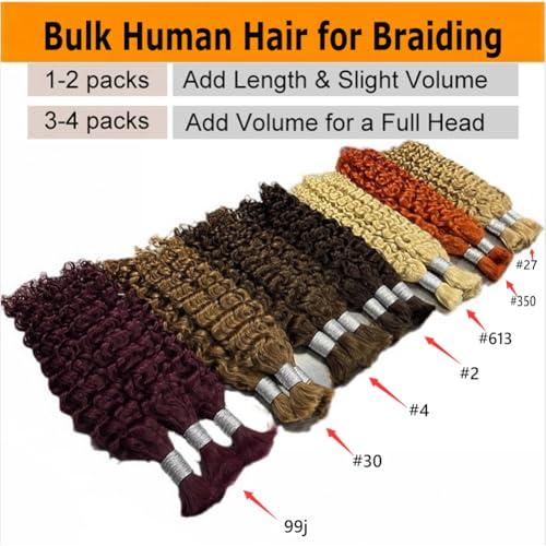 Kiss darling LASHES Micro Braiding Hair Human Bulk Hair Deep Wave Bulk 16\"Inch Brazilian Virgin Human Braiding Hair for Micro Braids Hair No Weft Human Hair Braids Extension #2 Brown Color