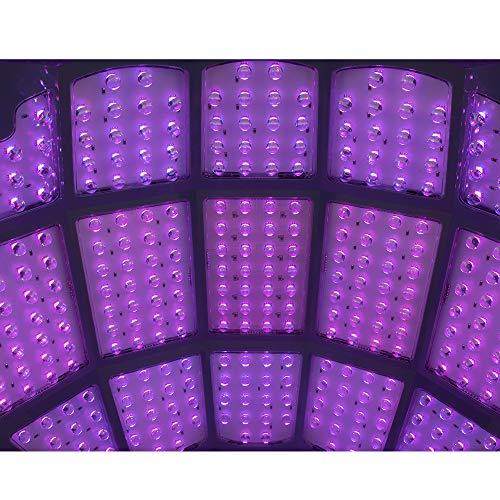 NORLANYA BEAUTY EQUIPMENT NORLANYA LED Light Skin Care Device for Face and Body, Fold-able, Red & Blue Light Photon Therapy