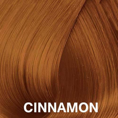 Janet Collection Janet Collection Melt Extended Part CIARA Lace Front Wig (CINNAMON)