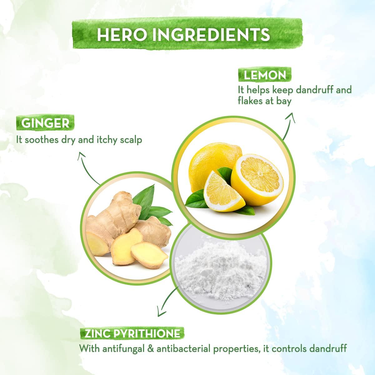 MAMAEARTH MAMAEARTH Lemon & Ginger Anti Dandruff Conditioner | Soothes Flaky and Itchy Scalp | Tames Frizzy Hair | Gives Soft & Smooth Hair | for Men and Women | 8.45 Fl Oz/250ml