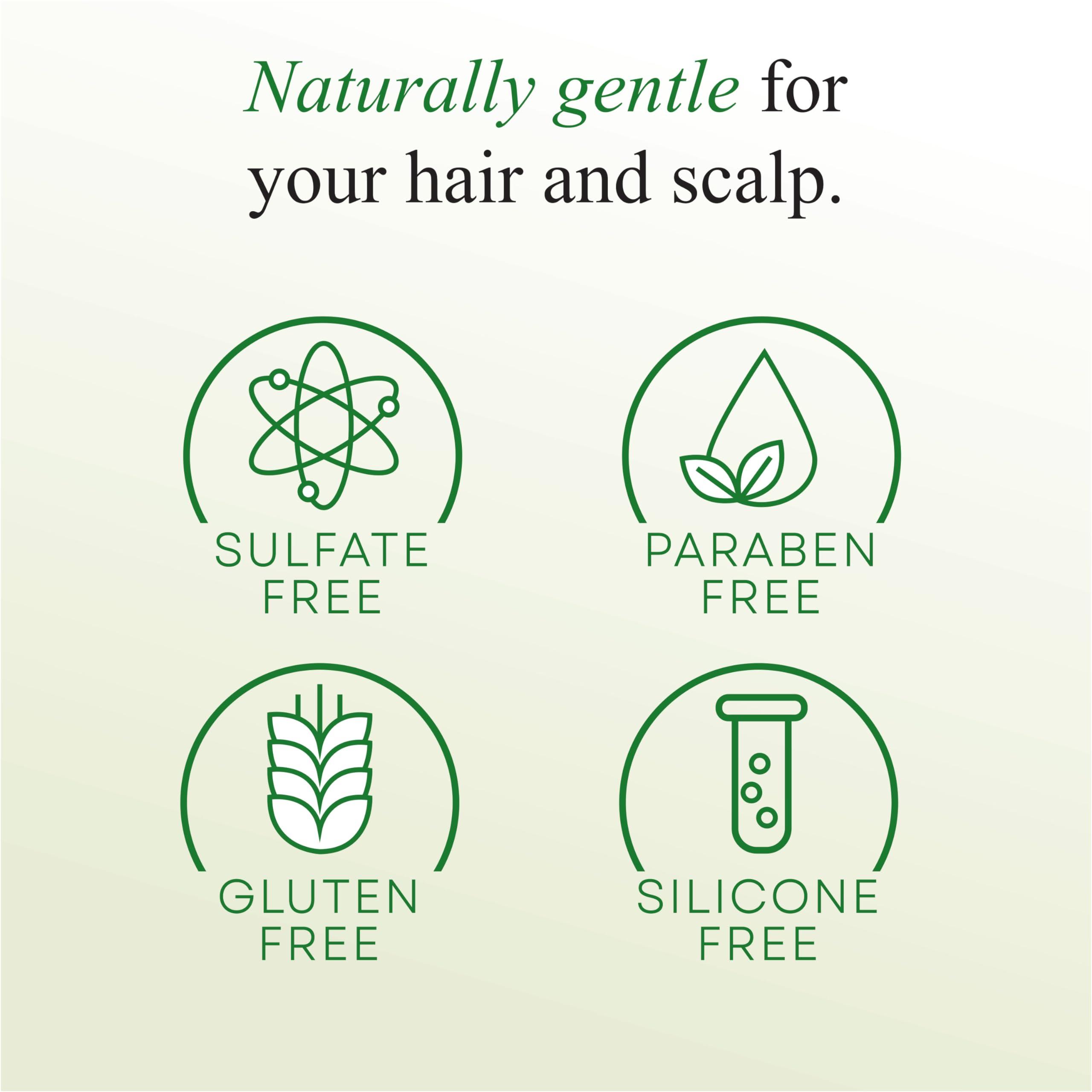 IDEN IDEN Signature Stem Cell Shampoo and Hair Masque Set, Promotes Healthy Hair Growth, Bee Propolis & Stem Cell Extracts, 12 fl.oz Each