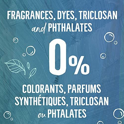 Seventh Generation Seventh Generation Hand Wash, Free and Clear, 12 Ounce