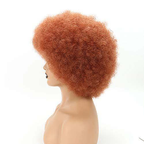 THEMIS HAIR Ginger Afro Wigs for Black Women, Brown Afro Wigs Unisex Men Women Large Bouncy and Soft Natural Looking Hair, Short Afro Kinky Curly Premium Synthetic Wig (Brown 350#)
