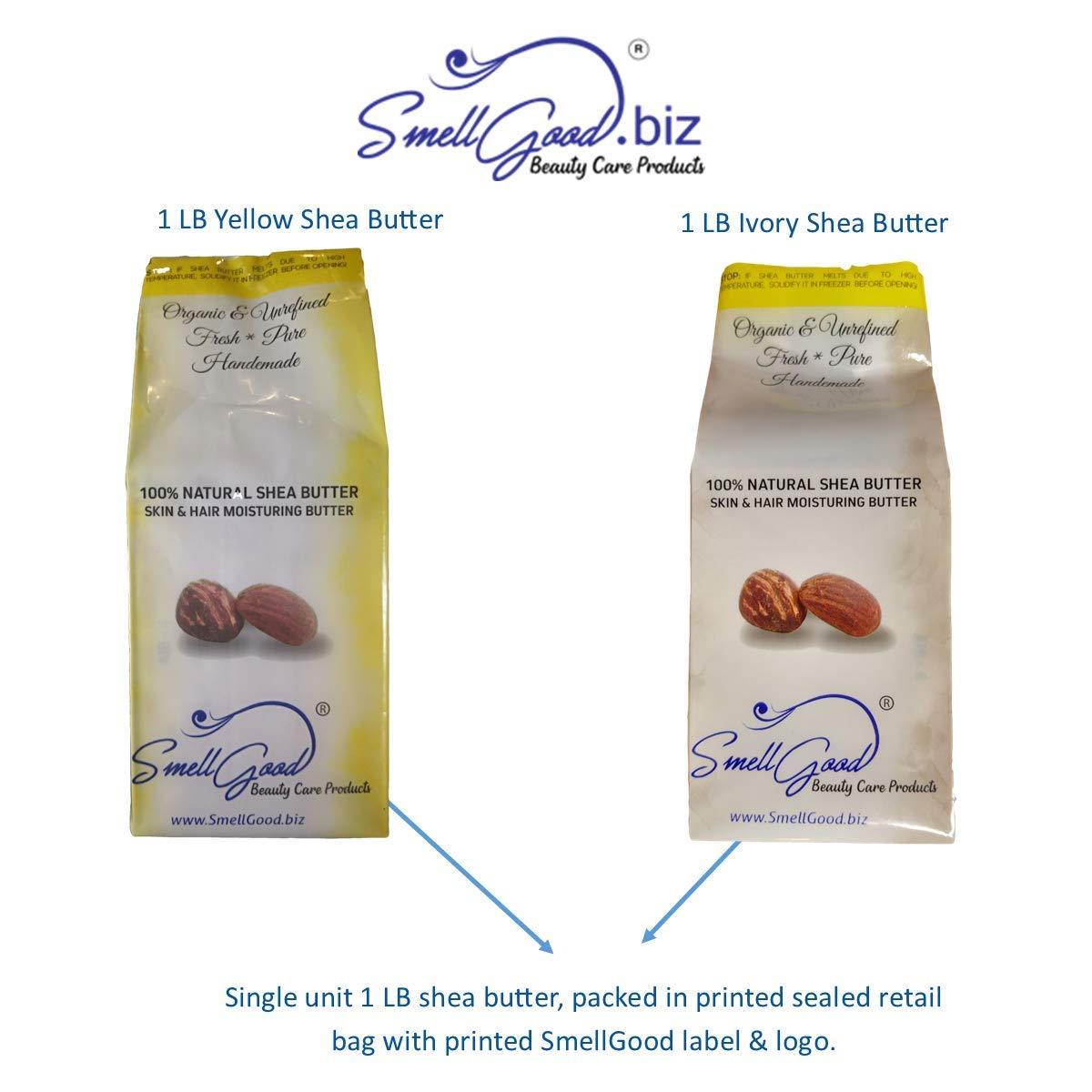 AminoGenesis AminoGenesis ParanormalEFX Advanced Anti-Aging Rejuvenating Super Serum 2 oz (Sun Damage, Collagen, Elastin Boosting w/Vitamins A, E, D, Tremella Mushroom Extract, Synthe'6 & Selaginella Lepidophylla)