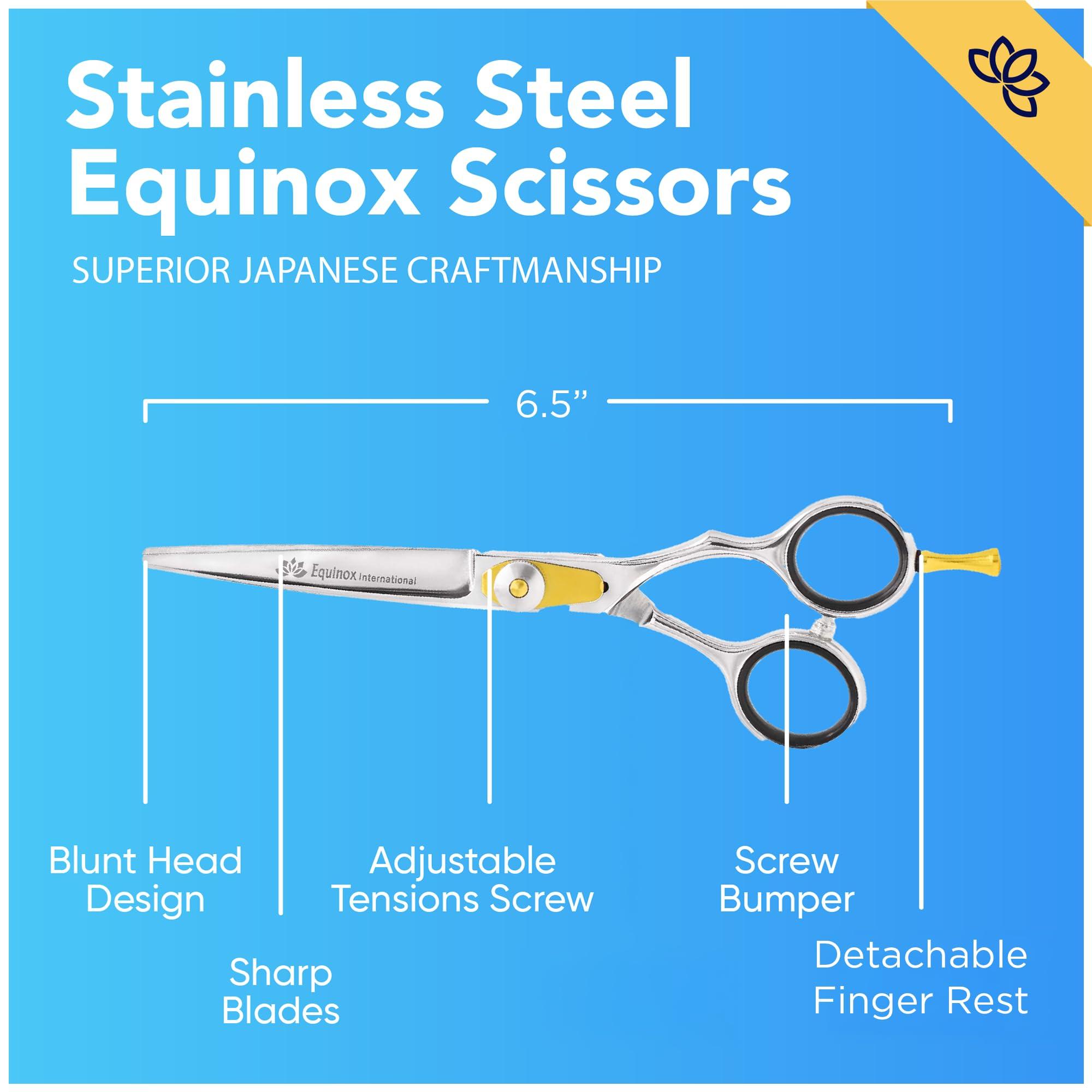 Equinox International Equinox Razor Edge Series Professional Hair Scissors - 5.5 Premium Japanese Stainless Steel Hair Cutting Scissors, Hair Shears for Hair Cutting, Barber Accessories & Hair Salon Supplies - Silver