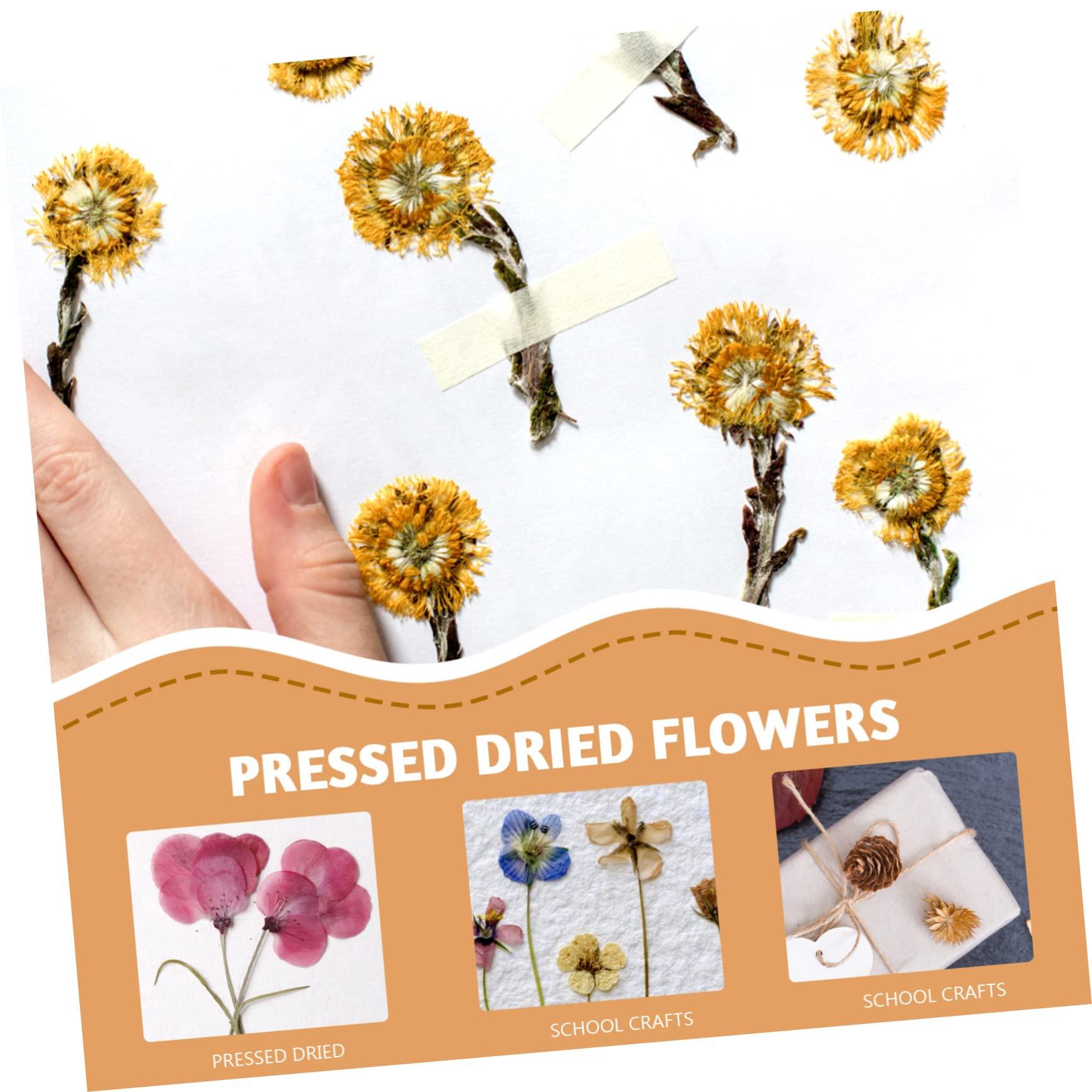 minkissy minkissy Diy Dried Flower Press Board Set 6pcs Blotter Paper Herbarium for Flower Pressing Art Craft